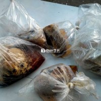 Mật Ong Rừng Nguyên Chất - Tốt Cho Sức Khỏe Gia Đình Bạn  