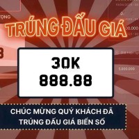 List Biển Số Ô Tô Hà Nội - Bao Định Danh Toàn Quốc  