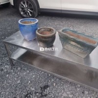 3 chậu cây bonsai