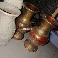Thanh lý 3chậu như hình