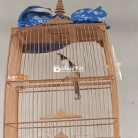 Lồng thái cao tre già.đầy đủ phụ kiện.