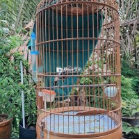 Đất con đầu mùa