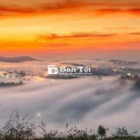 Phòng nghỉ dạng homestay cho thuê tại TP Đà Lạt Tết 2025 giá rẻ  
