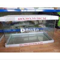 hồ đúc 60cm,13 con p hoàng ,đèn,lọc,10kg sỏi p nền