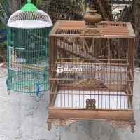 Lòng vuông chạm và bộ ốc mít 4 tháng