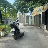 Đất P15, Gò Vấp, DT: 4,5 X 15, sổ