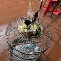 thừa vài cái lồng inox thái an mới nguyên