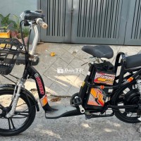 xe đạp điện cần bán