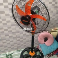 Quạt senko cao size lớn
