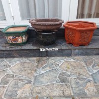 4 cái chậu bonsai xưa và nay lành tít