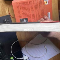 Sách Ruồi Trâu, Tiếng Chim Hót Trong Bụi Mận Gai - Văn Học Nước Ngoài  