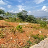 Đất biệt thự Vạn Xuân Lạc Dương view đẹp 290m2 full thổ giá 6,150 tỷ
