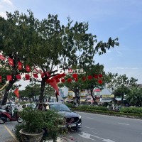 LÔ ĐẤT MẶT TIỀN NGUYỄN PHƯỚC LAN – TRUNG TÂM PHỐ TÀI CHÍNH, NGÂN HÀNG