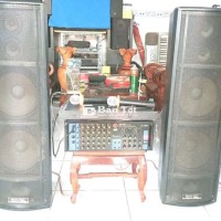 Chọn bộ karaoke vip bass 25cm đôi