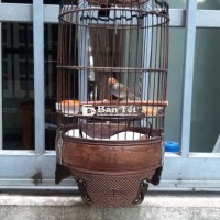 Bộ sđđ 1 mùa gl