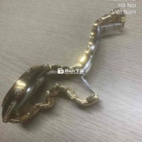 Tôi có 1 chiếc đồng hồ Rado Golden Horse muốn bán