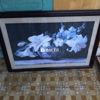 Tranh hoa