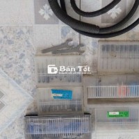 Máy mài hơi mini