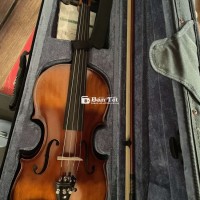 Violin Size 4/4 H01