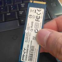 SSD Nvne Pny Nvme 250G Gen 3*4