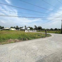 ✅ Bán đất thổ hai mặt tiền ấp Bào Dài , Thanh Phú Long _ DT: 8 x 25m2