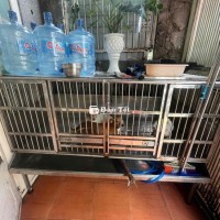 Nhà Chật Thanh Lý Chuồng Full Inox Thiết Kế Đẹp