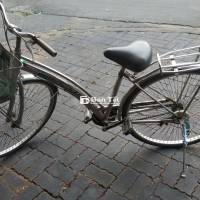 Xe Đạp Martin Khung Inox Chạy Nhẹ, Bền Bỉ - Sang Trọng  