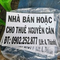 Nhà Cho Thuê Tại 270/23A Lê Đình Cẩn, Quận Bình Tân  