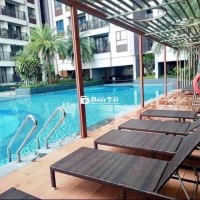 Chính chủ cho thuê căn hộ 2pn2wc Opal Boulevard  cầu Vượt Linh Xuân