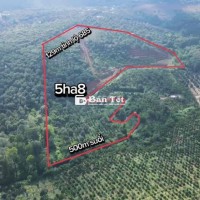 5,8HA ĐẤT VƯỜN MẶT TIỀN TỈNH LỘ 685 - ĐẮK RU, ĐẮK’R LẤP
