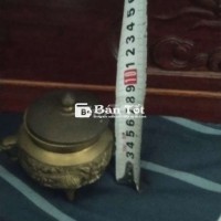 Hữu sông tràm hàng bãi