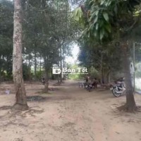 đất new sông đồng nai  xã Phú thịnh huyện Tân phú tỉnh đồng Nai