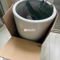 Thanh lý chậu cây tráng men sứ trắng