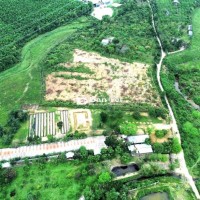 Siêu phẩm 21000m2 đất trồng cây lâu năm thiết kế cảnh quan đẹp có nhà