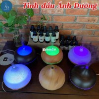 ## Phân phối đèn xông tinh dầu Ánh Dương