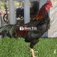 Luôn giữ gìn và đảm bảo sự an toàn. Giấu thông tin cá nhân khi đăng tin. Không tiết lộ chi tiết nhạy cảm như số điện thoại, địa chỉ, email khi trao đổi với người lạ.