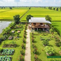 BÁN ĐẤT 500mv/1000mv NÔNG NGHIỆP THÔN 4/THÔN 8 - CƯ ÊBUR