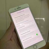 8Plus Full Zin Full Cn