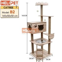 pass cattree còn mới 90%