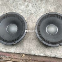 Cặp bass 25 sườn nhôm từ lớn như hình