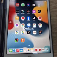Ipad mini 4 32g