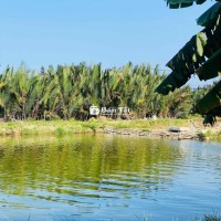 Bán villa view hồ cẩm thanh đường oto đang cho thuê dòng tiền ổn định