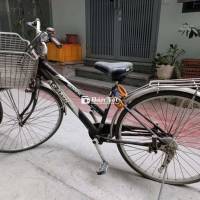 Bán xe đạp asama đã qua sử dụng