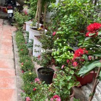 cho thuê phòng nhà biệt thự