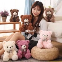 Gấu Teddy Áo Len 50cm - 150K - Freeship toàn quốc