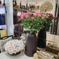Tuyển Giúp việc làm tại Quận Tân Phú