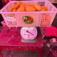 xoài mít 12kg 320k