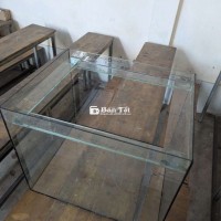 bể cá