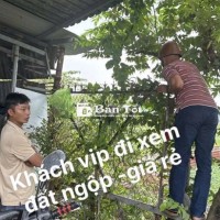 CẤN BÁN GẤP ĐẤT VƯỜN 1000M  TẠI ĐƯỜNG 1-2 VĨNH LỘC B