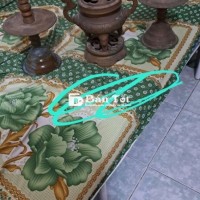 Sáng 2/5 bán bỗ lư xưa của Huế cao 35 nặng 8kg